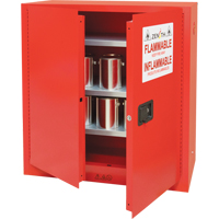 Armoire pour peintures et encres, 45 gal., 3 tablettes Cantin et fils