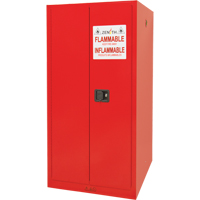 Armoire pour peintures et encres, 96 gal., 5 tablettes Cantin et fils