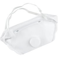 Particulate Respirator, N95, NIOSH Certified, Medium/Large Cantin et fils