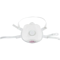 Respirateur contre les particules, P100, Certifi&eacute; NIOSH, Moyen/grand Cantin et fils