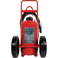 Red Line&reg; Wheeled Fire Extinguishers, BC, 125 lbs. Capacity Cantin et fils