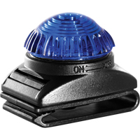 Guardian Warning Light, Continuous/Flashing, Blue Cantin et fils