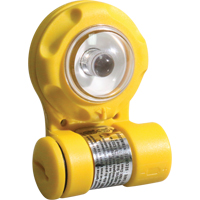 VIP Warning Light, Continuous/Flashing, Amber Cantin et fils