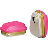 Cartouches pour respirateur s&eacute;rie 6000, Cartouche gaz/vapeur, Gaz multiples/Vapeurs/P100 Cantin et fils
