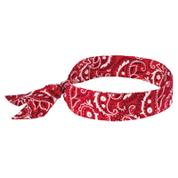 Chill-Its&reg; 6700 Cooling Bandanas, Red Cantin et fils