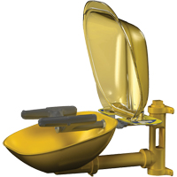 Postes de douche oculaire/faciale Halo, Installation Montage mural, Bol Plastique Cantin et fils