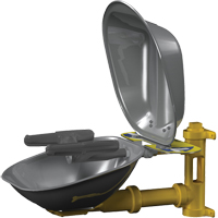 Halo Face/Eyewash Stations, Wall-Mount Installation, Stainless Steel Bowl Cantin et fils