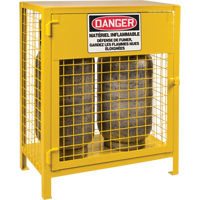 Gas Cylinder Cabinets, 2 Cylinder Capacity, 30" W x 17" D x 37" H, Yellow Cantin et fils