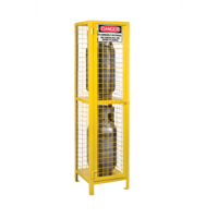 Gas Cylinder Cabinets, 2 Cylinder Capacity, 17" W x 17" D x 69" H, Yellow Cantin et fils
