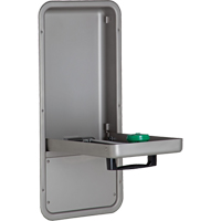 Eye/Face Wash Station, Wall-Mount Installation, Stainless Steel Bowl Cantin et fils