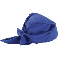 Chill-Its&reg; 6710CT Cooling Triangle Hats, Blue Cantin et fils
