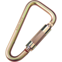 Mousquetons Saf-Lok, Acier, Capacit&eacute; 3600 lb Cantin et fils