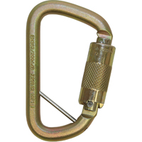 Mousqueton antichute en D d&eacute;port&eacute; Rollgliss pour sauvetage technique, Acier, Capacit&eacute; 3600 lb Cantin et fils
