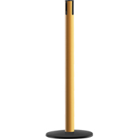 Advance TensaBarrier&reg; - Receiver Post, 36" High, Yellow Cantin et fils