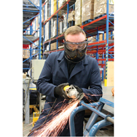 Z2300 Series Safety Shield Goggles, Clear Lens, Anti-Fog, Indirect Vent Cantin et fils