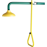 Lifesaver&reg; Emergency Overhead Showers, Wall-Mount Cantin et fils
