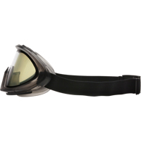 Capstone Dual Lens Safety Goggles, Clear Lens, Anti-Fog/Anti-Scratch, Indirect Vent Cantin et fils