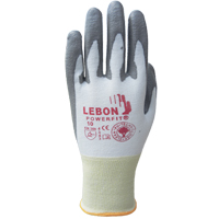 Gants r&eacute;sistants &agrave; la coupe PowerFit Lebon, Taille Grand/9, Calibre 13, Rev&ecirc;tement Polyur&eacute;thane, Enveloppe en Poly&eacute;thyl&egrave;ne, ASTM ANSI niveau A2/EN 388 niveau B Cantin et fils