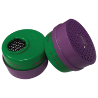 Cartouche pour respirateur, Combinaison cartouche et filtre contre les particules pour gaz/vapeurs, Ammoniac/M&eacute;thylamine/Filtre P100 Cantin et fils