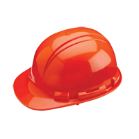 Casque de s&eacute;curit&eacute; Whistler de North, R&eacute;pond aux normes CSA type 1, Suspension &agrave; douille, Non ventil&eacute; Cantin et fils