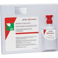 Poste de douche oculaire Dynamic, Simple Cantin et fils