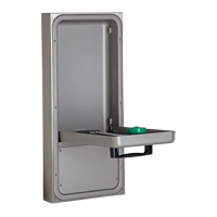 Eye/Face Wash Station, Wall-Mount Installation Cantin et fils