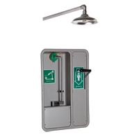 ADA Eye/Face Wash and Shower, Ceiling-Mount Cantin et fils