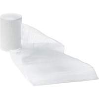 Bandages de gaze Dynamic, Rouleau, 15' lo x 1" la, St&eacute;rile, Dispositif m&eacute;dical Classe 1 Cantin et fils