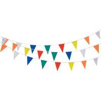 Cordon de fanions, 60' lo, Multicolore Cantin et fils