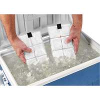 Sachets pour veste de refroidissement &agrave; changement de phase 6260 Chill-Its Cantin et fils