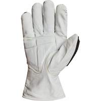 Gants r&eacute;sistant &agrave; la coupe et aux chocs Endura 378GKGVBE, Petit, Paume en Ch&egrave;vre, Poignet Conducteur Cantin et fils