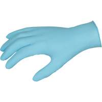 DuraShield Disposable Gloves, Large, Nitrile, 3-mil, Powder-Free, Blue Cantin et fils