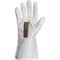 Ground Hog Electro-Static Spray Painting Gloves, Size Large, 11.5" L, Polyurethane Cantin et fils