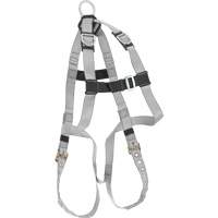 Harnais &eacute;conomique de conformit&eacute; B Dynamic, Certifi&eacute;e CSA, Classe AE, Cap. 310 lb Cantin et fils