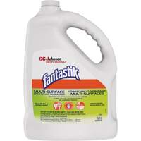 D&eacute;sinfectant et d&eacute;graissant multisurface professionnel Fantastik, 3,78 L, Cruche Cantin et fils