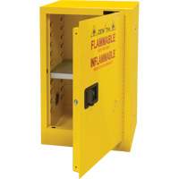 Armoire pour produits inflammables, 12 gal., 1 Porte(s), 23" La x 35" h x 18" p Cantin et fils
