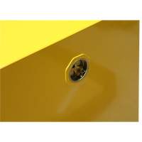 Armoire pour produits inflammables, 4 gal., 1 Porte(s), 17" La x 22" h x 18" p Cantin et fils