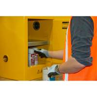 Armoire pour produits inflammables, 4 gal., 1 Porte(s), 17" La x 22" h x 18" p Cantin et fils