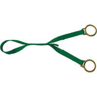 Extension avec anneau en D double, Anneau en D, Usage Temporaire Cantin et fils