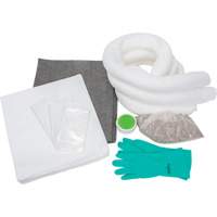 Trousse d'&eacute;quipement de lutte contre les d&eacute;versements, Huile seulement/Universel, Sac, Absorbance de 10 gal. US Cantin et fils