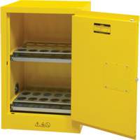 Armoire de rangement pour a&eacute;rosols inflammables, 12 gal., 1 Porte(s), 23" La x 35" h x 18" p Cantin et fils