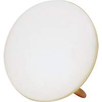 Jumbo Therapy Light for Seasonal Affective Disorder Cantin et fils