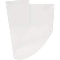 &eacute;cran facial antibu&eacute;e de rechange Maxview de qualit&eacute; sup&eacute;rieure, Polycarbonate Cantin et fils