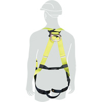 H1OO Harness, Medium/Small, 420 lbs. Cap. Cantin et fils
