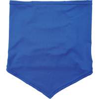 Chill-Its 6483 Cooling Neck Gaiter Bandana with Pocket, Blue Cantin et fils