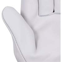 535G Beige Driver's Gloves, Small, Grain Cowhide Palm Cantin et fils