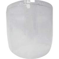 Face Protection