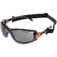 XPS502 Sealed Safety Glasses, Indoor/Outdoor Lens, Anti-Scratch Cantin et fils