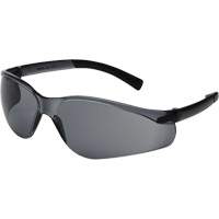 X300 Safety Glasses, Smoke Lens, Anti-Scratch, ANSI Z87+/Meets/Exceeds CSA Z94.3 Cantin et fils