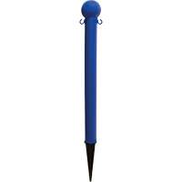 Ground Poles, Blue Cantin et fils